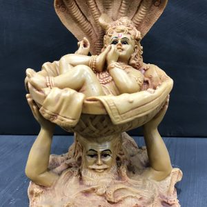 Poly Resin Vasudev Krishna