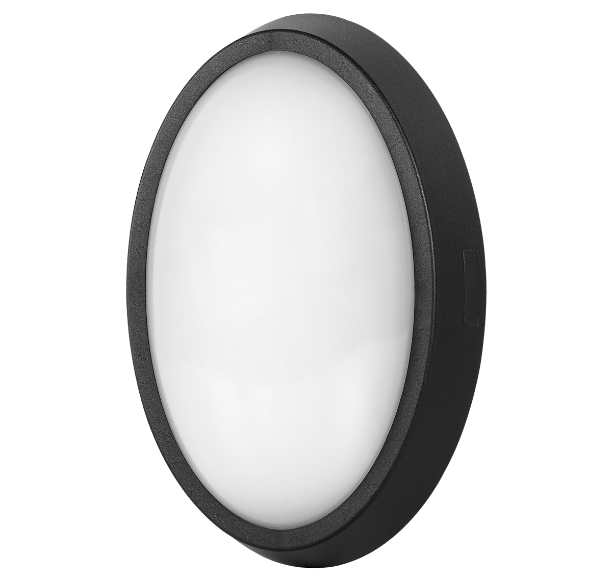 ELLIPSE NEO 6.5 W OVAL Cool Daylight (CDL)
