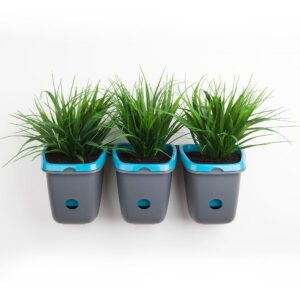 Wall Garden