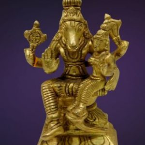 Polished Brass Goddess Varah Laxmi Mata