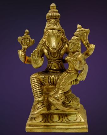 Polished Brass Goddess Varah Laxmi Mata