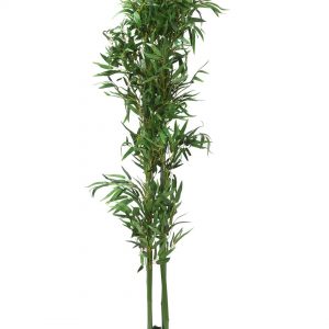 Bamboo Tree (Green)