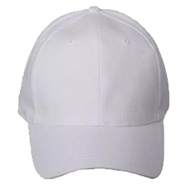 6 Panel Cap with Tipping
