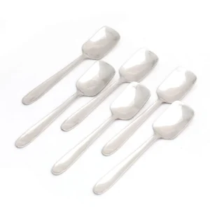 Coconut Stainless Steel Ice Cream Spoon, Set of 6