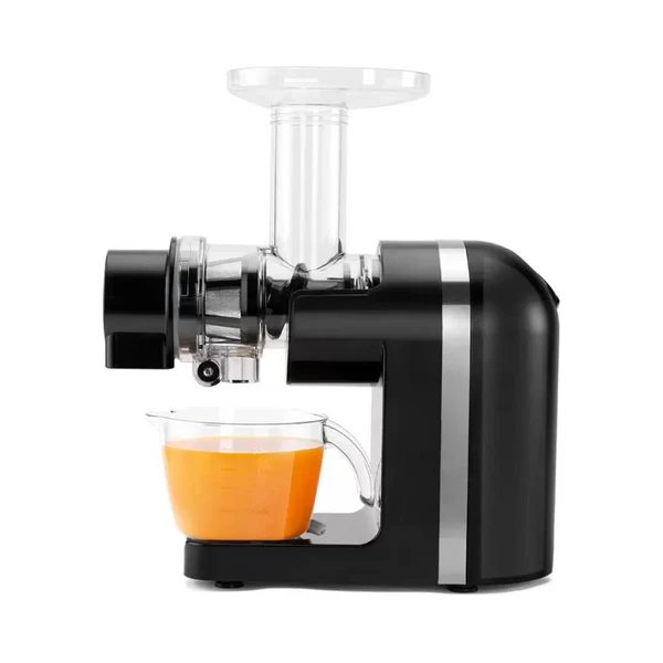 Borosil Nutri Rich Cold Press Juicer | 200W |