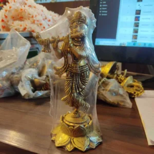 Brass Krishna Idol Big