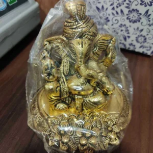 Pagadi ganesh Gold