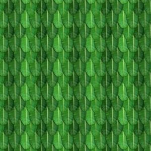 Velvette Fabric Banana Print Backdrop 5x8 Feet