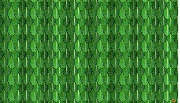 Velvette Fabric Banana Print Backdrop 5x8 Feet