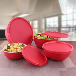 Stainless Steel 4 PCS Storage Bowl with Solid Lid Euro