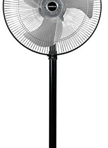 Havells Pedestal Fan-V2 Neo Black 450Mm