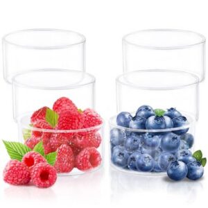 Borosil Katories-Large Glass 180Ml