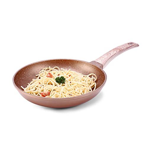 Wonderchef Fry Pan-Duralife 240Mm Copper