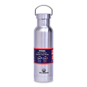 PE Birds Hydra Stainless Steel Insulated Flask