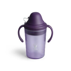 VAYA DRYNK WITH SPOUT LID 280ML (FROSTED PURPLE)(set of 2)