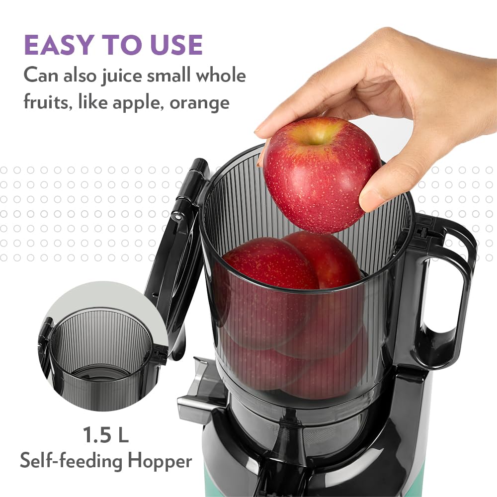 Borosil Vita Rich Cold Press Juicer