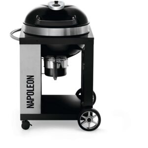 Napoleon Charcoal Grill