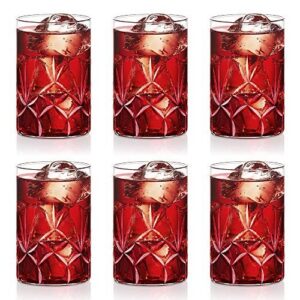 Borosil Glasses-Meadow Medium So6 295Ml