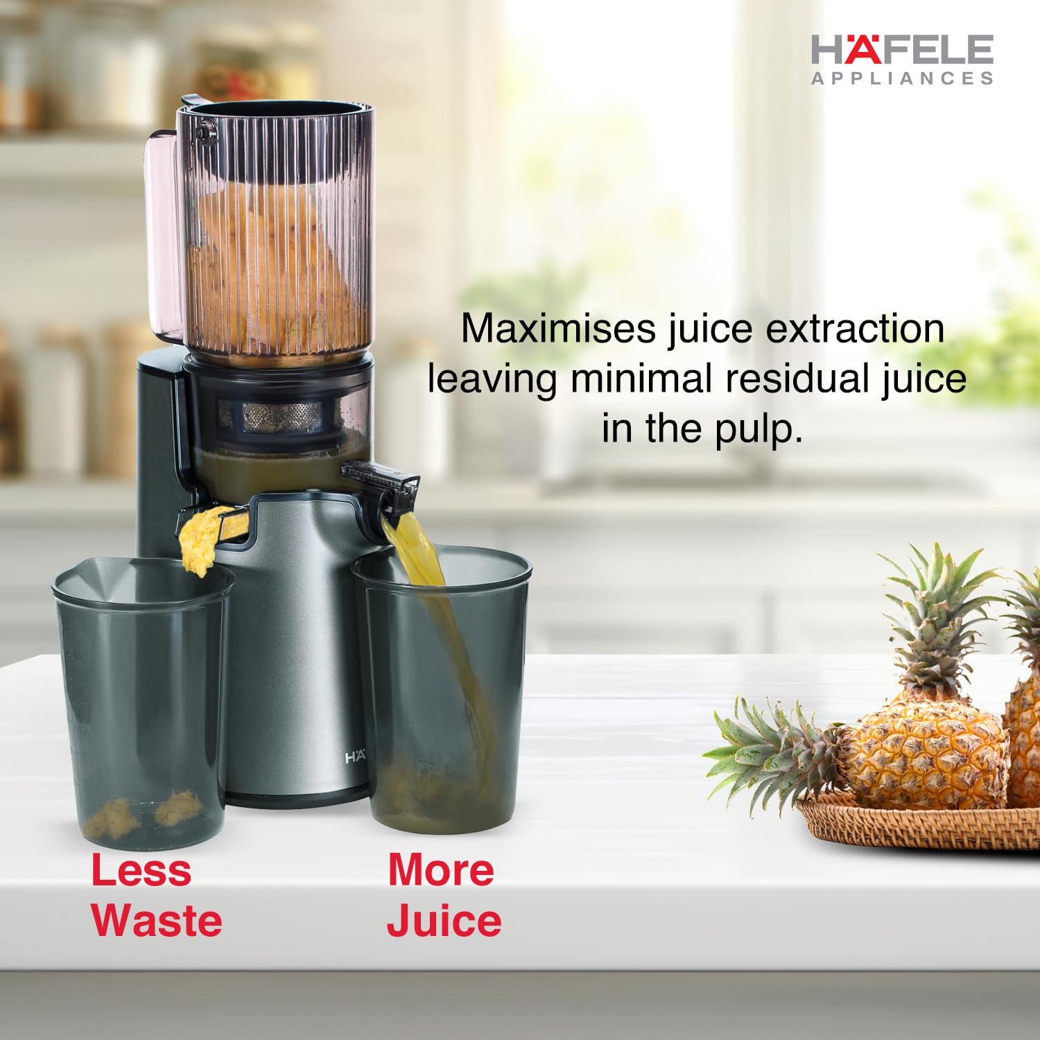 Hafele Magnus Prime Cold Press Juicer