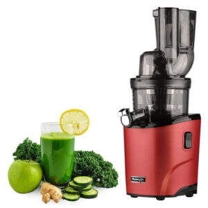Kuvings REVO830 Professional Cold Press Juicer