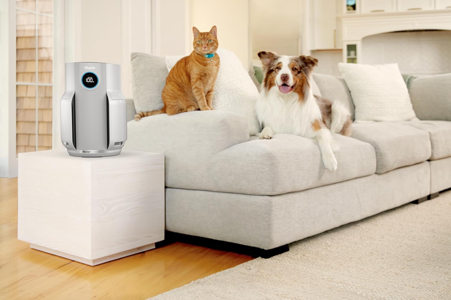 Shark Air Purifier for Home & Bedroom