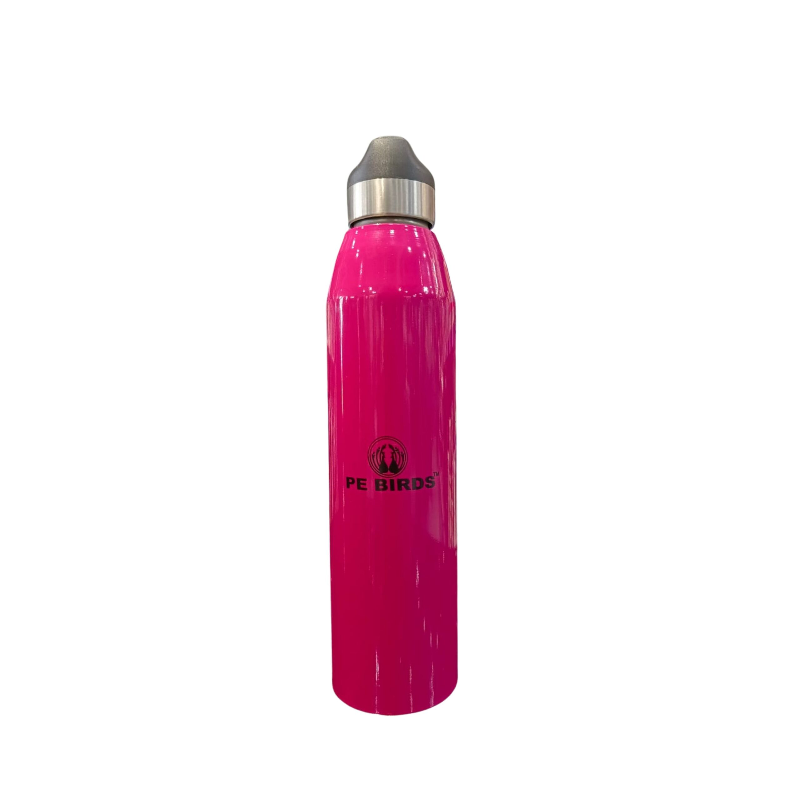 PE Birds Stainless Steel Peppy Water Bottle