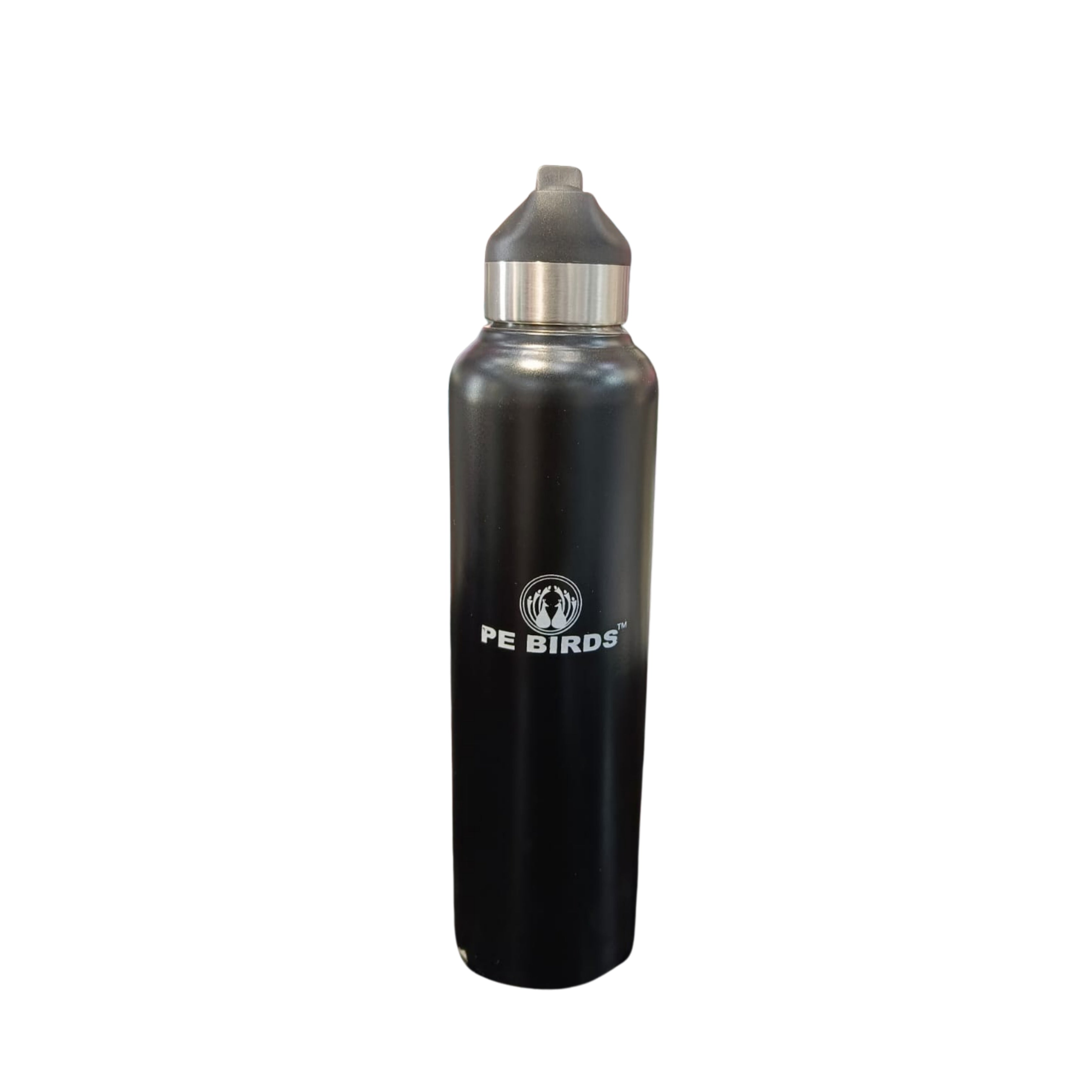 PE Birds Stainless Steel Peppy Water Bottle | 600 ml