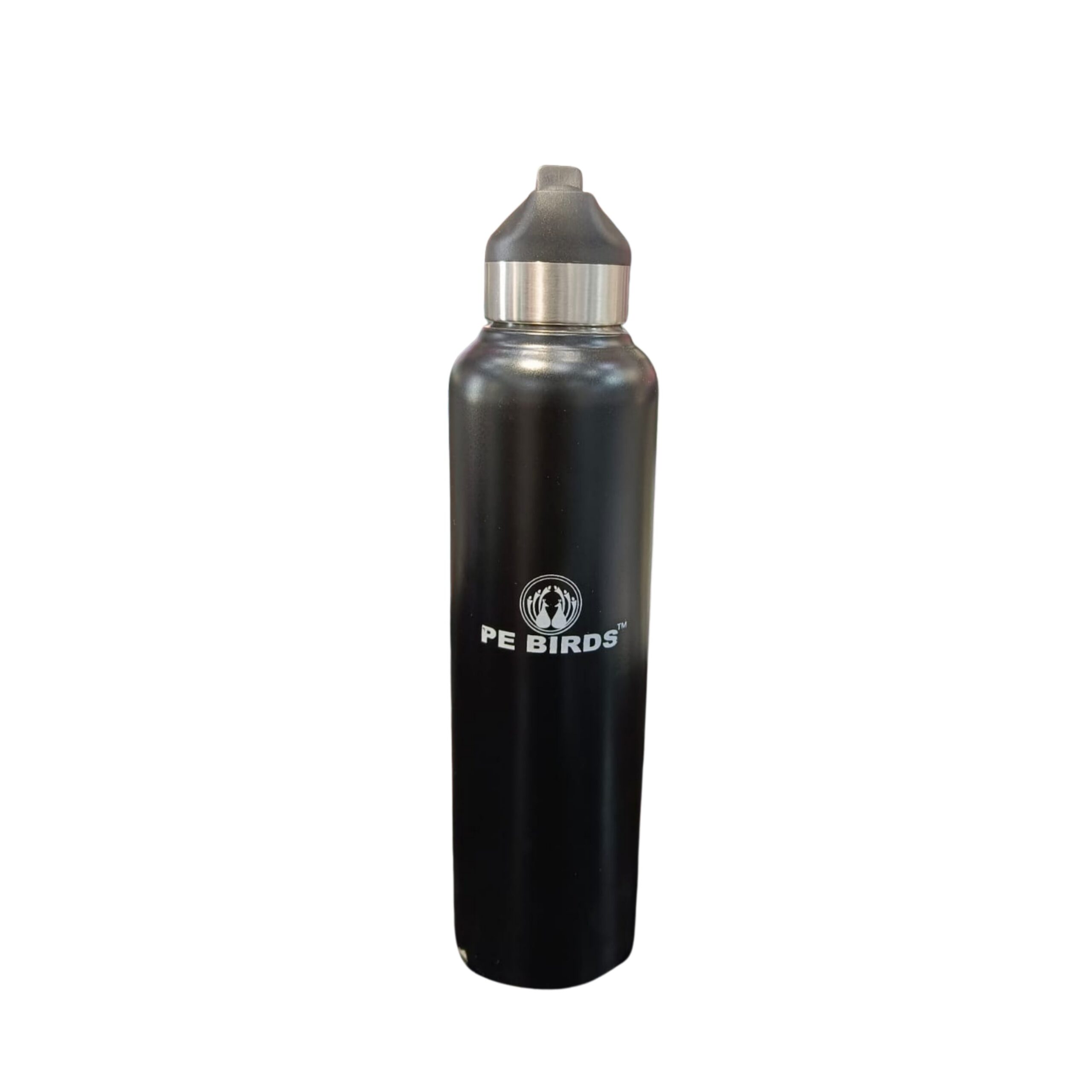 PE Birds Stainless Steel Peppy Water Bottle