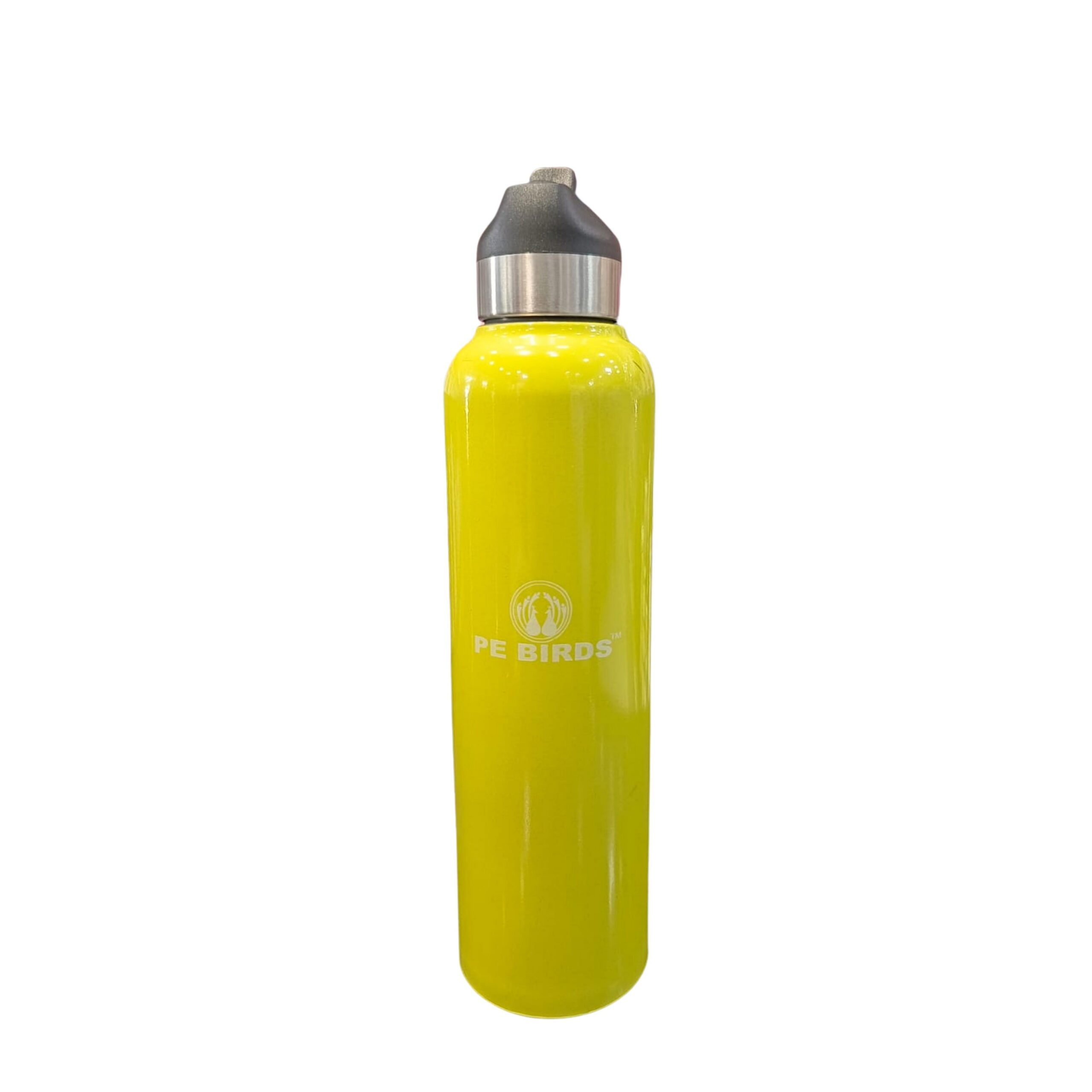 PE Birds Stainless Steel Peppy Water Bottle