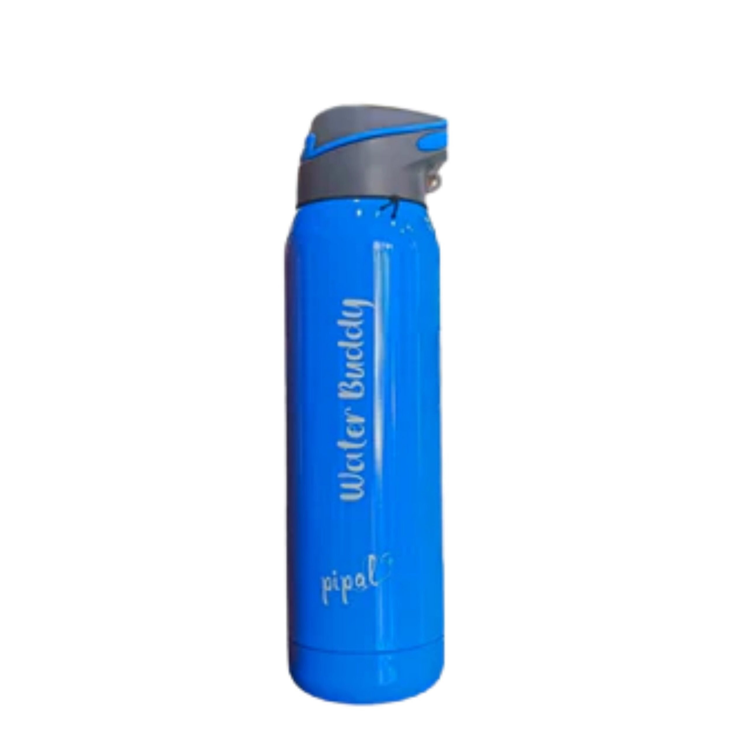 Pipal Stainless Steel Ruby Water Bottle