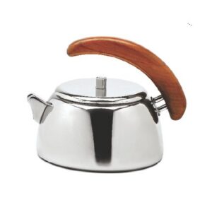 Mirror Fantasy Kettle