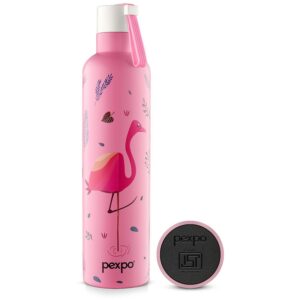 Pexpo Oslo Art Flamingo Bird Uv Printed Design Bottle (Pink) 750Ml