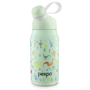 Pexpo Piano Art Dinosaur Uv Printed Design Bottle (Green) 450Ml