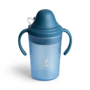 VAYA DRYNK WITH SPOUT LID 280ML (FROSTED BLUE)(set of 2)
