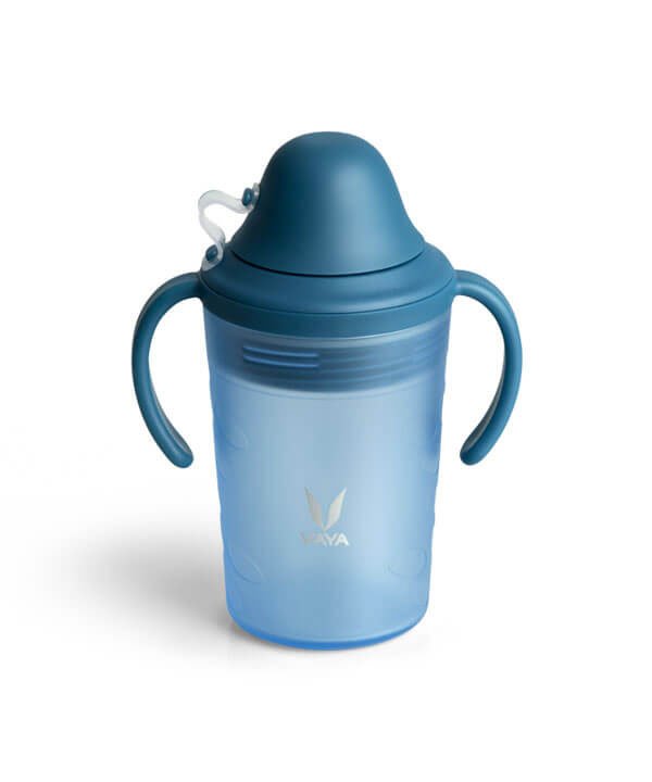 VAYA DRYNK WITH SPOUT LID 280ML (FROSTED BLUE)(set of 2)
