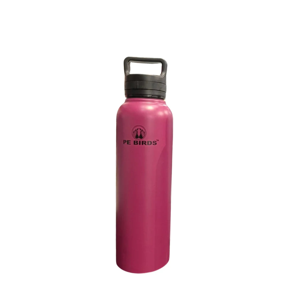 PE Birds Tuff O Steel Water Bottle
