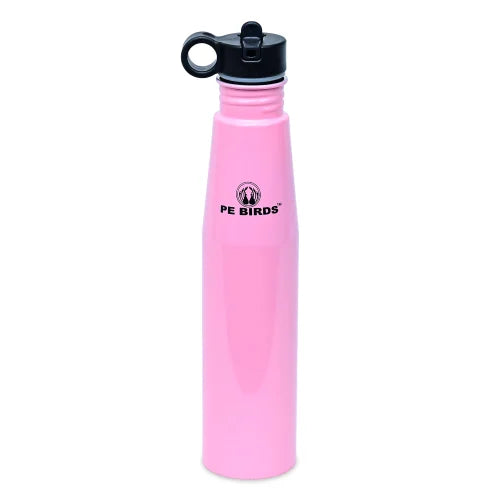 PE Birds Bheem Sipper Water Bottle