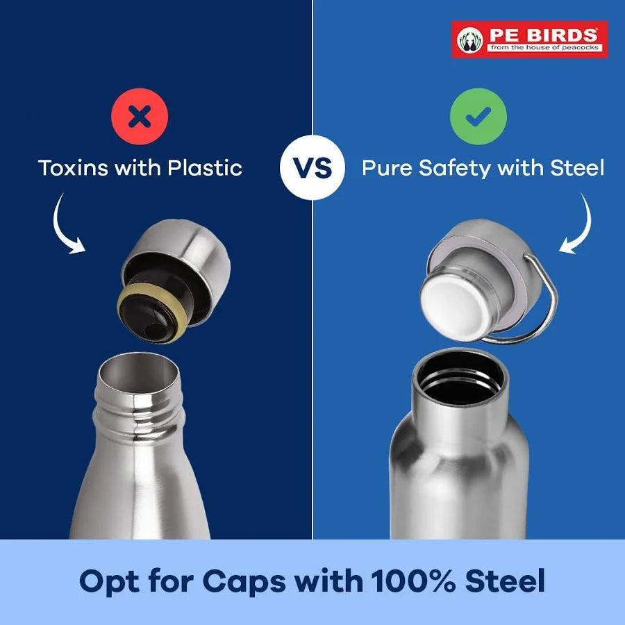 PE Birds Hydra Stainless Steel Insulated Flask
